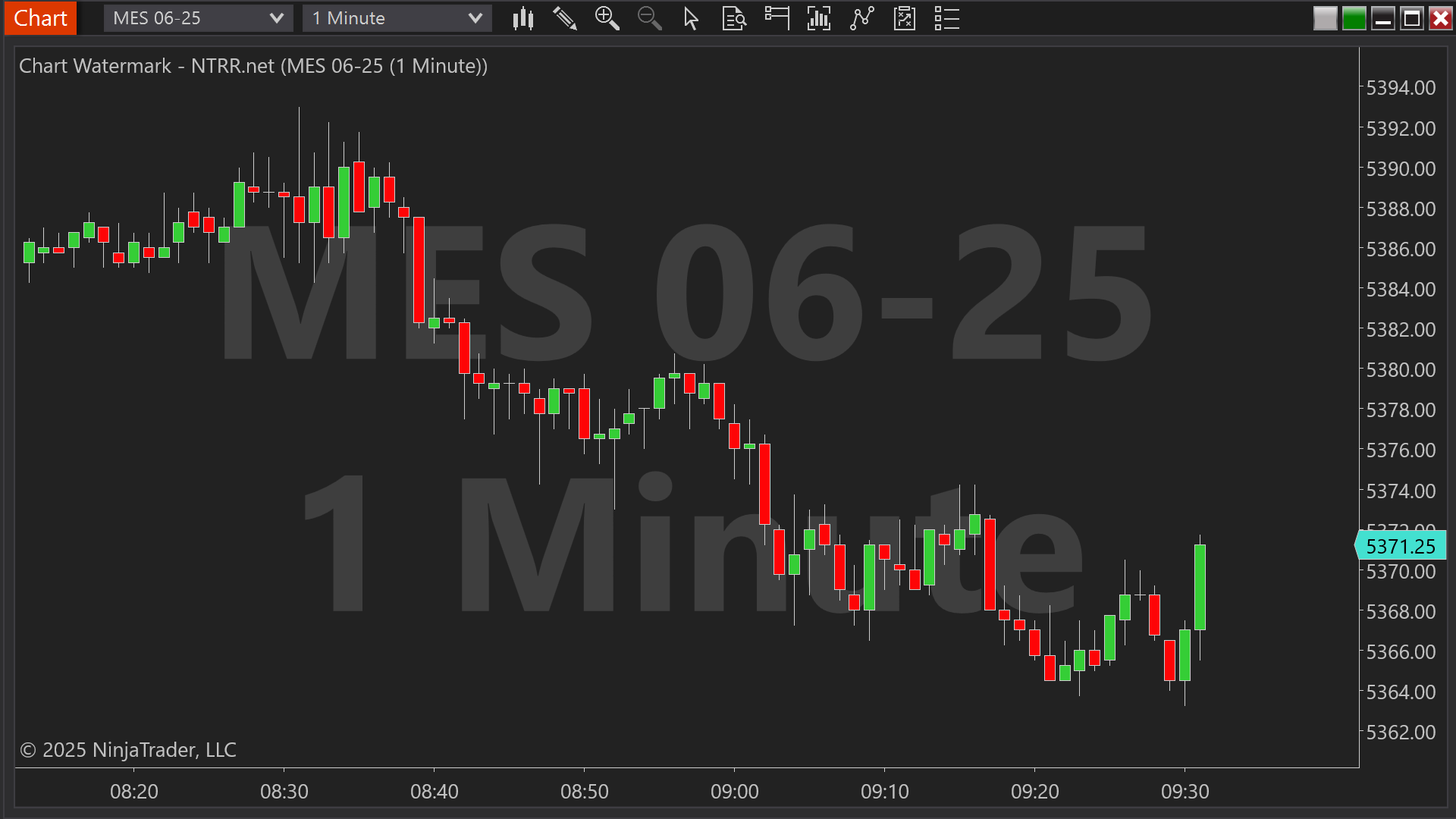 Chart Watermark indicator for NinjaTrader 8